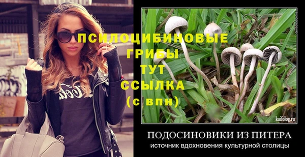 твердый Абинск