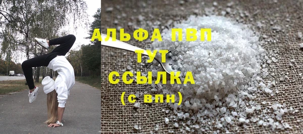 тгк Абаза