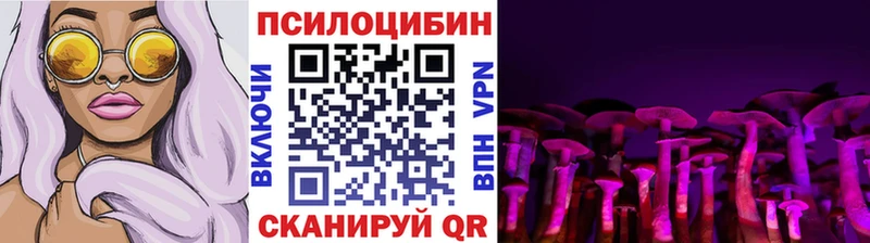 даркнет Telegram  Кохма  Галлюциногенные грибы Psilocybine cubensis 