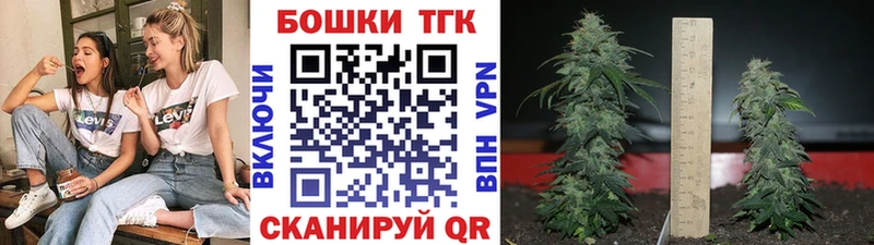 где найти   Кохма  Шишки марихуана индика 